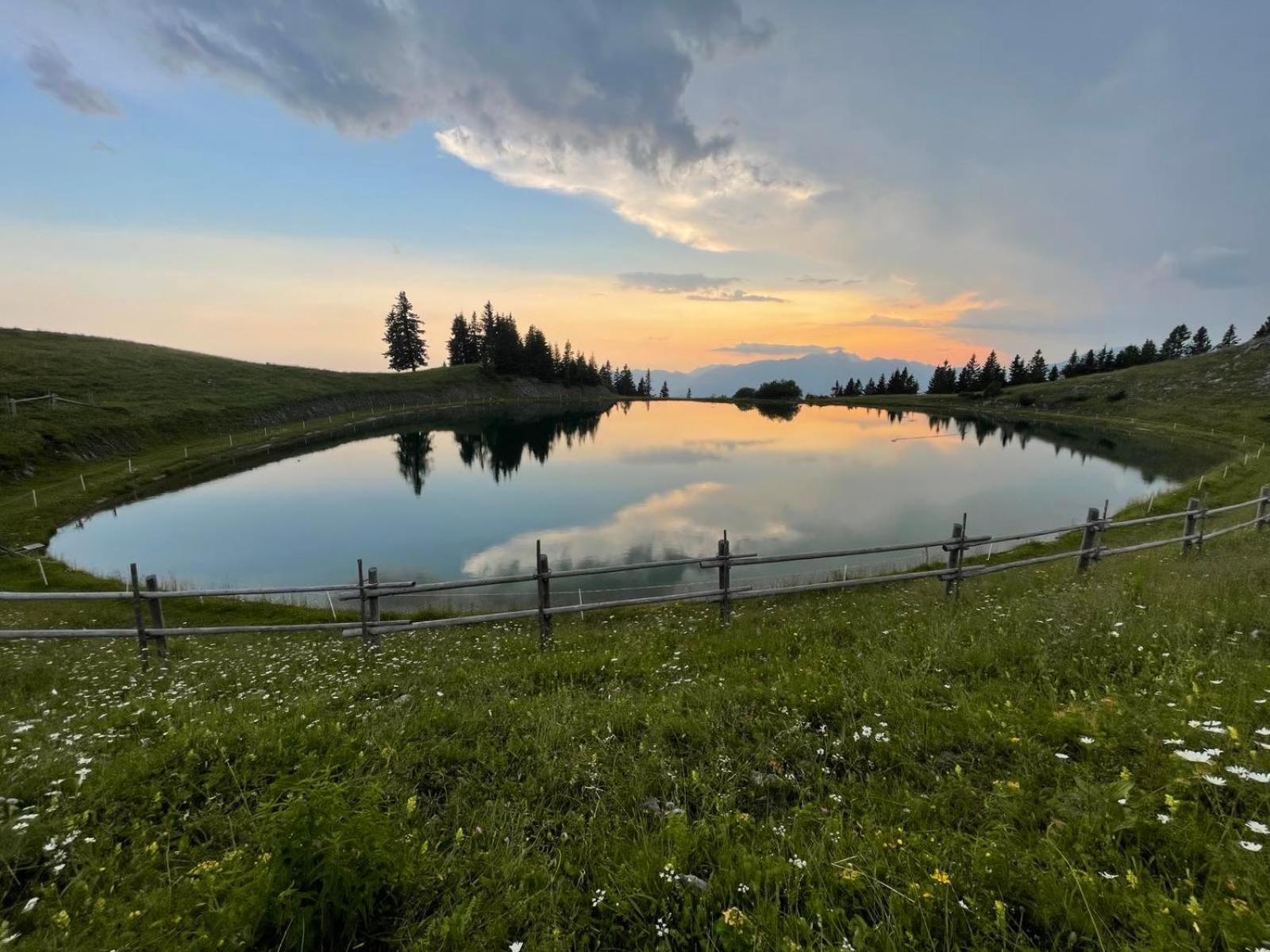 Apartma Lilija Golte Mozirje Bagian luar foto